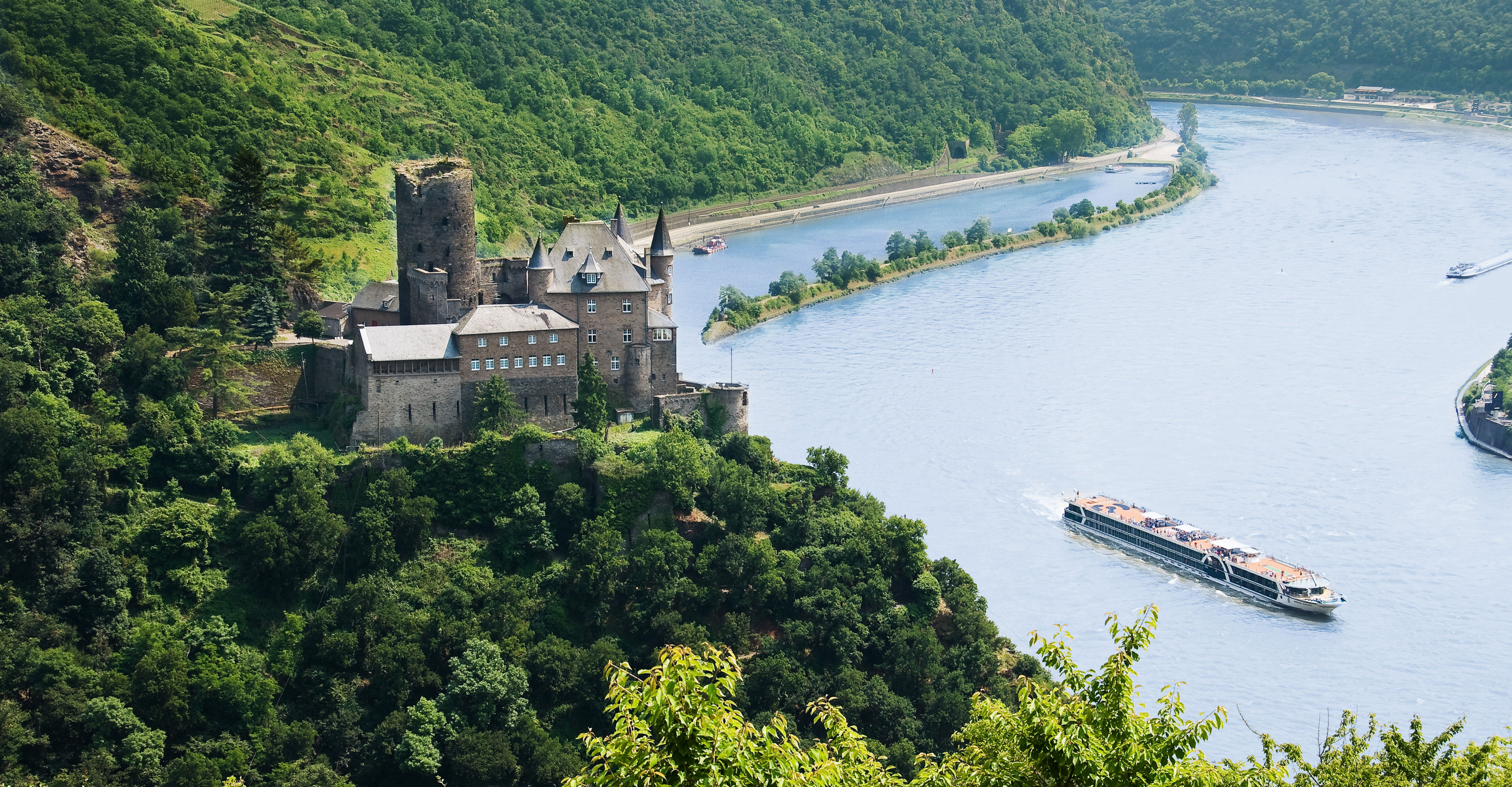 MS Amadeus Cara auf dem Rhein