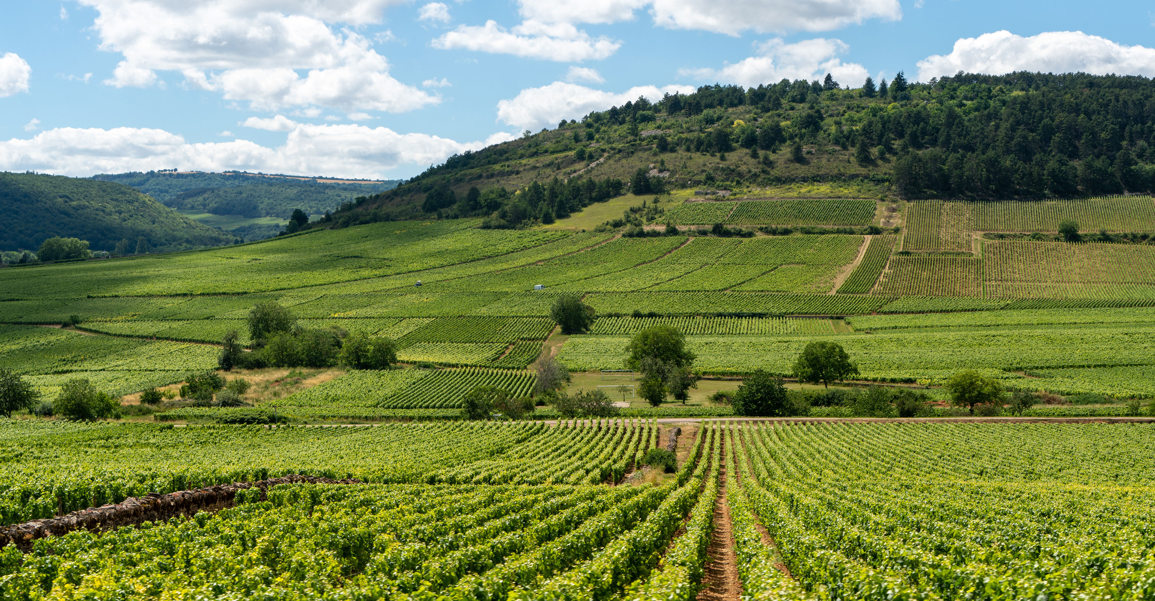 Burgund und Champagne