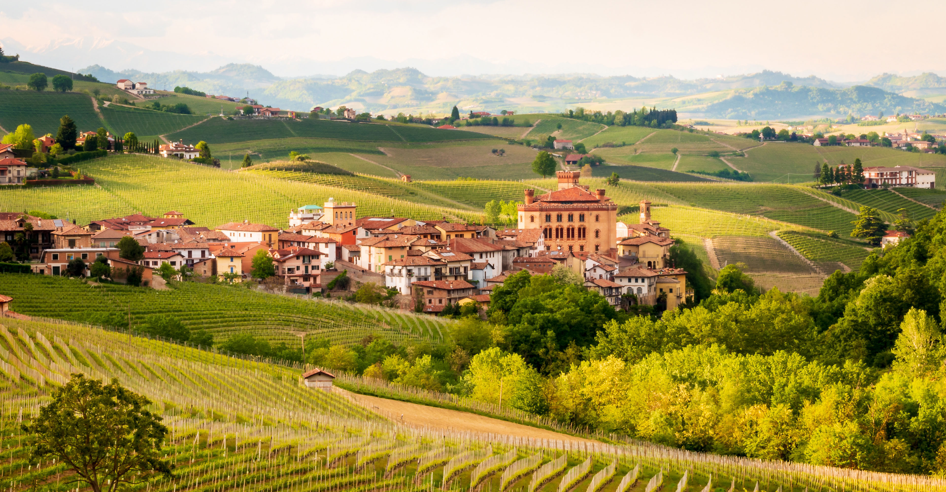 Piemont zur Trüffelzeit