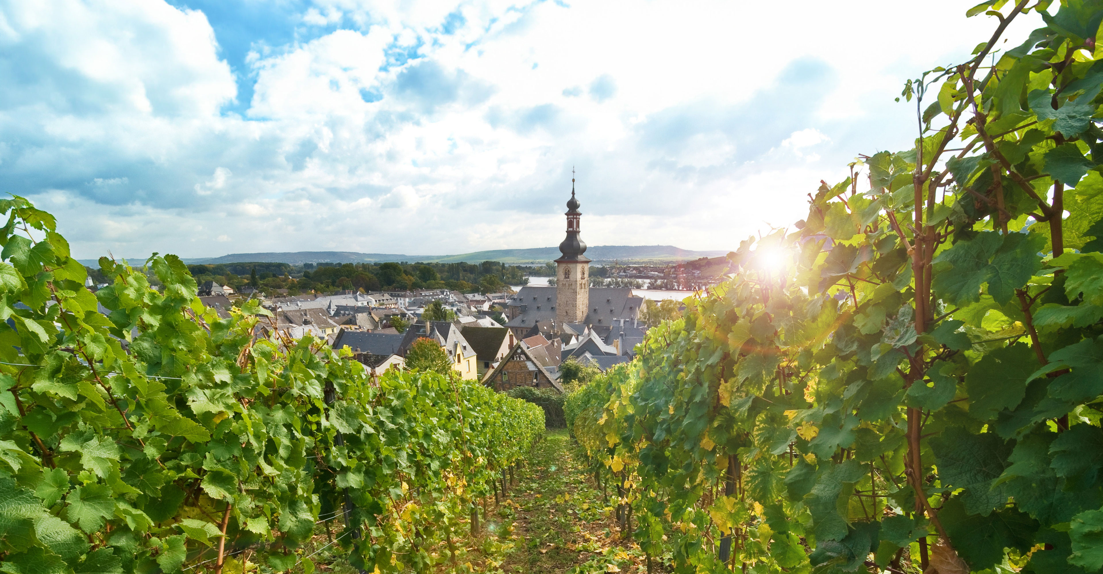 Rhein und Wein