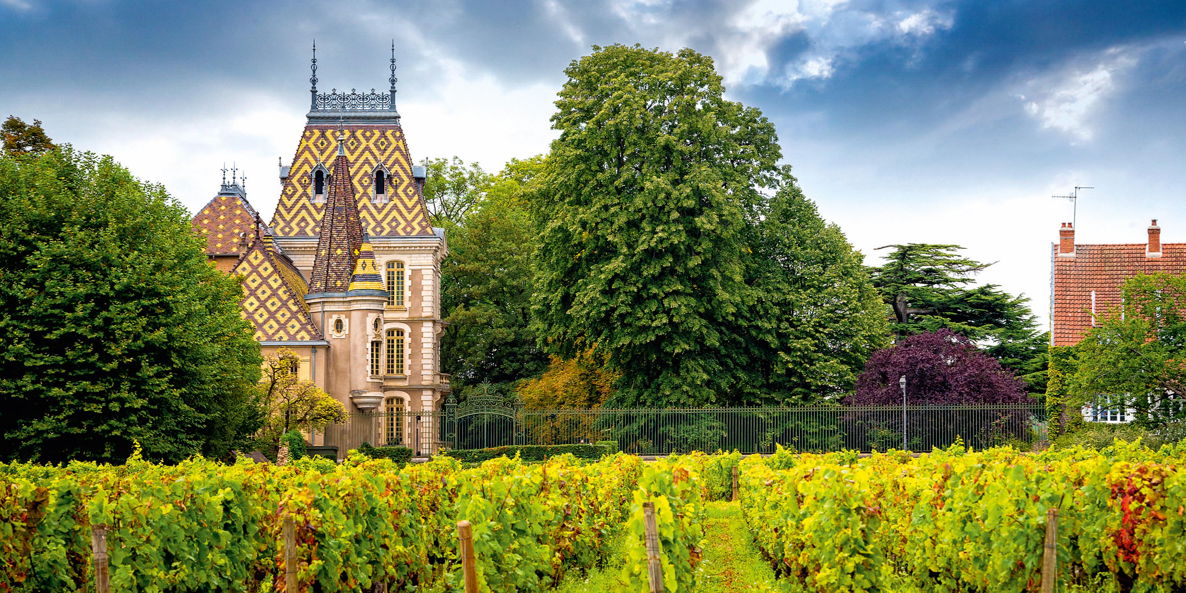 Buntes Burgund