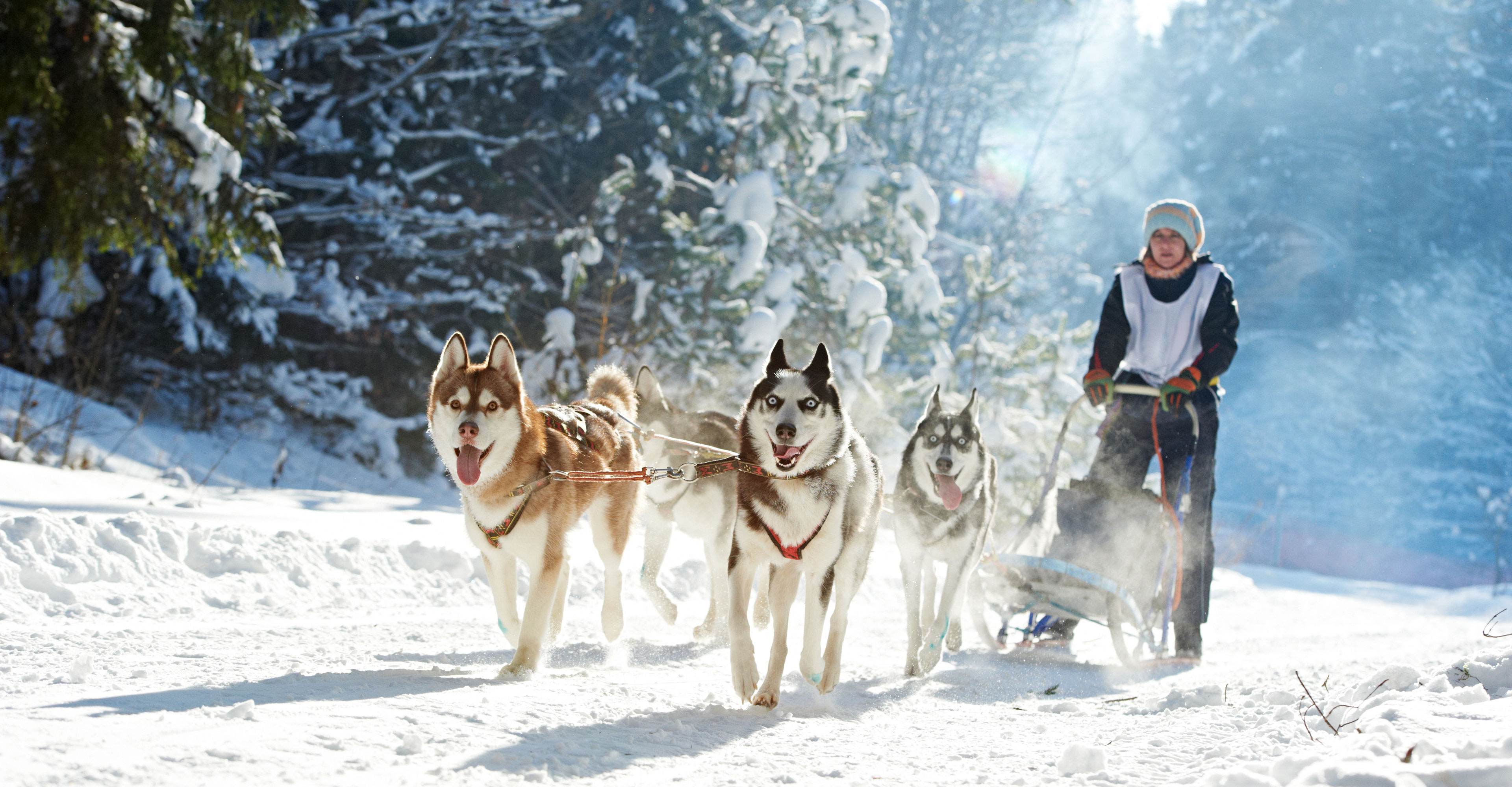 Winterabenteuer Finnland